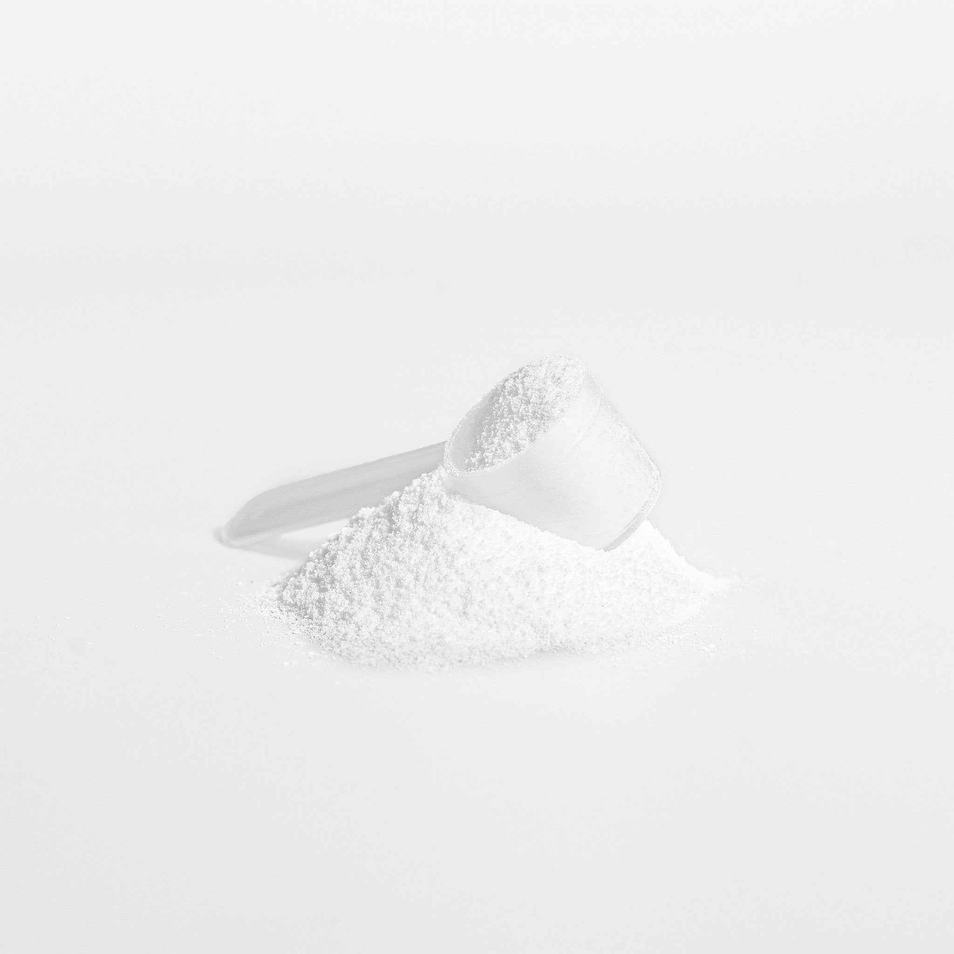 Creatine Monohydrate Powder, 8.8 oz