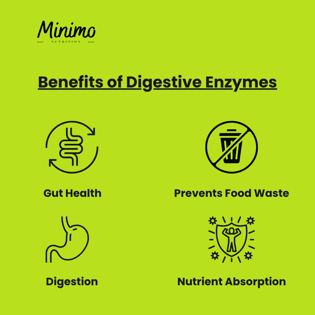 Digestive Enzyme Pro Blend, 60 ct.