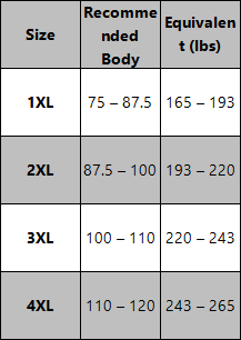 WONDERXFANS - Women's plus-size yoga flared pants